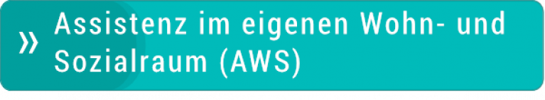 Assistenz im eigenen Wohn- und Sozialraum / leben+wohnen gGmbH Lörrach